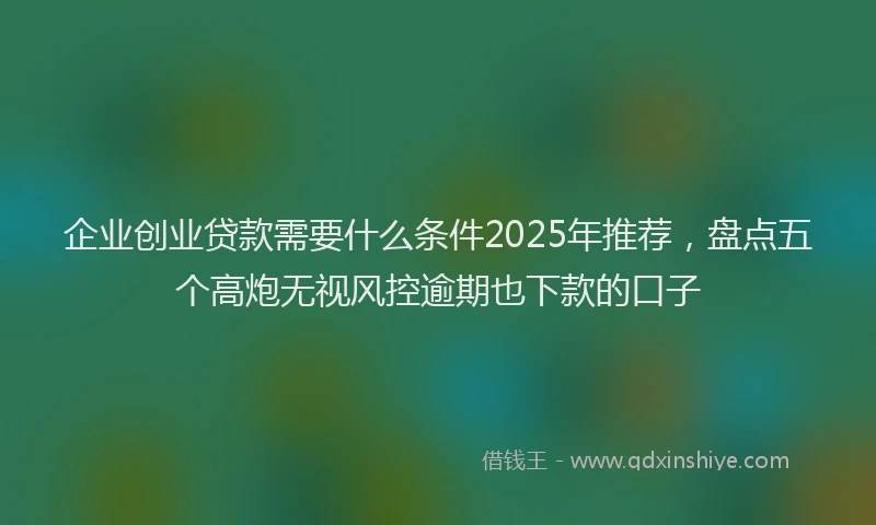 企业创业贷款需要什么条件2025年推荐，盘点五个高炮无视风控逾期也下款的口子