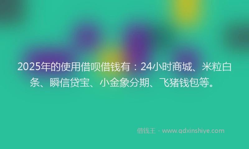 2025年的使用借呗借钱有：24小时商城、米粒白条、瞬信贷宝、小金象分期、飞猪钱包等。