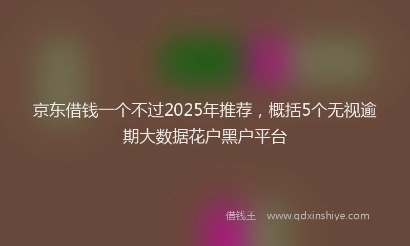 京东借钱一个不过2025年推荐，概括5个无视逾期大数据花户黑户平台