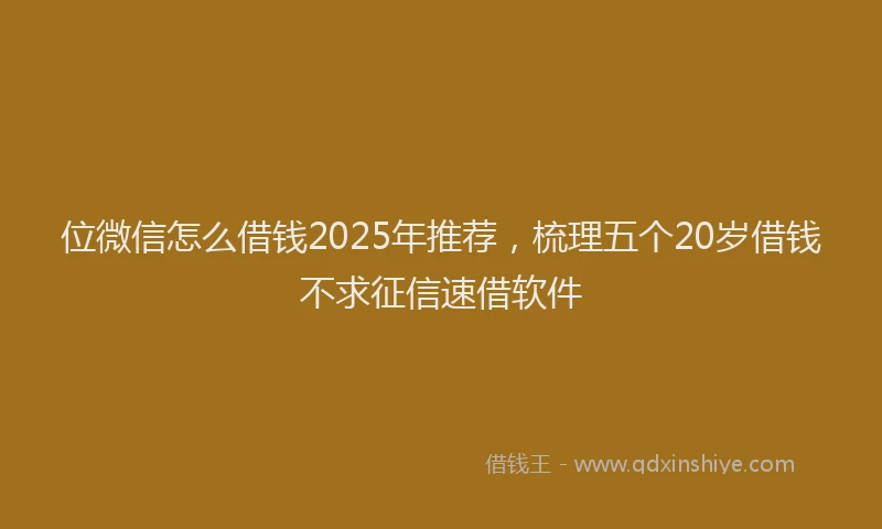 位微信怎么借钱2025年推荐，梳理五个20岁借钱不求征信速借软件