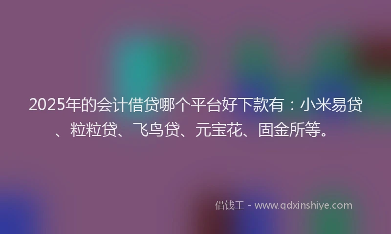 2025年的会计借贷哪个平台好下款有：小米易贷、粒粒贷、飞鸟贷、元宝花、固金所等。