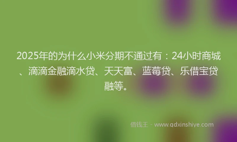 2025年的为什么小米分期不通过有：24小时商城、滴滴金融滴水贷、天天富、蓝莓贷、乐借宝贷融等。
