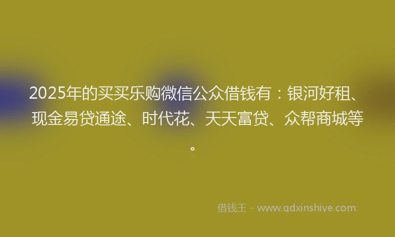 2025年的买买乐购微信公众借钱有：银河好租、现金易贷通途、时代花、天天富贷、众帮商城等。