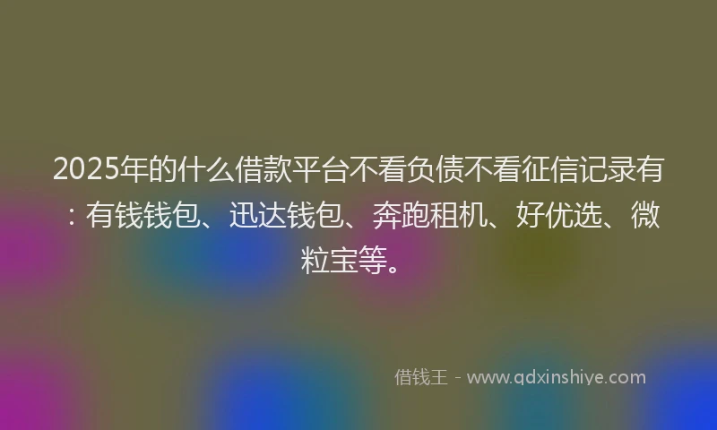 2025年的什么借款平台不看负债不看征信记录有：有钱钱包、迅达钱包、奔跑租机、好优选、微粒宝等。