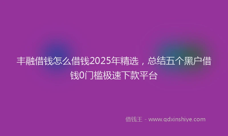 丰融借钱怎么借钱2025年精选，总结五个黑户借钱0门槛极速下款平台