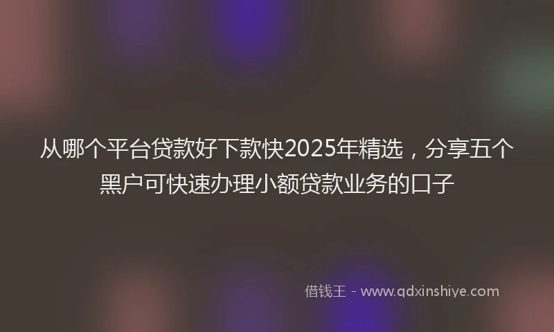从哪个平台贷款好下款快2025年精选，分享五个黑户可快速办理小额贷款业务的口子