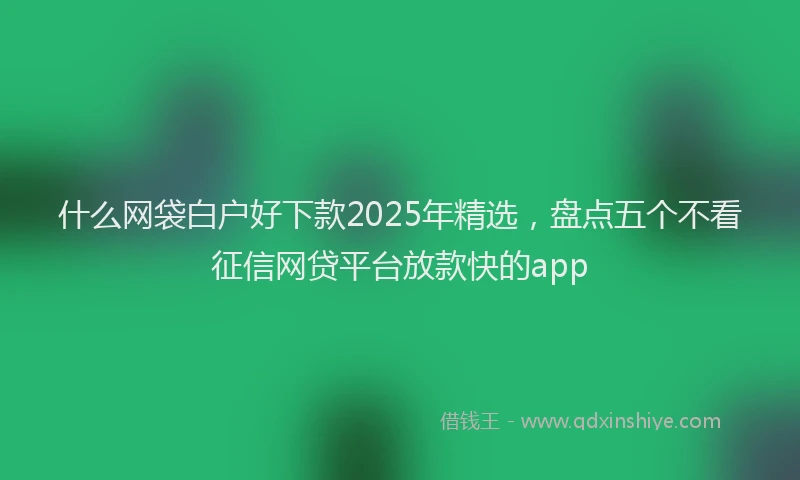 什么网袋白户好下款2025年精选，盘点五个不看征信网贷平台放款快的app