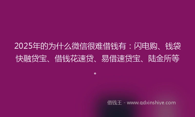 2025年的为什么微信很难借钱有：闪电购、钱袋快融贷宝、借钱花速贷、易借速贷宝、陆金所等。