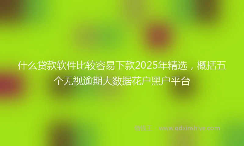 什么贷款软件比较容易下款2025年精选，概括五个无视逾期大数据花户黑户平台