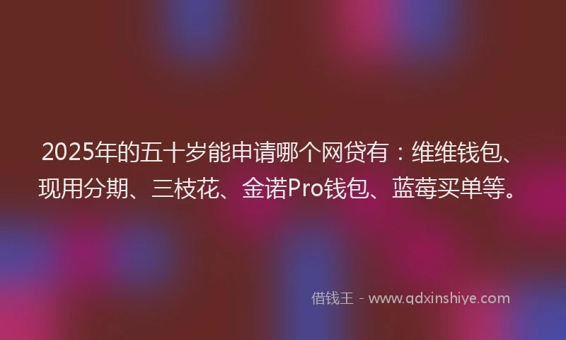 2025年的五十岁能申请哪个网贷有：维维钱包、现用分期、三枝花、金诺Pro钱包、蓝莓买单等。