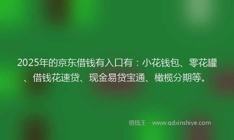 2025年的京东借钱有入口有：小花钱包、零花罐、借钱花速贷、现金易贷宝通、橄榄分期等。