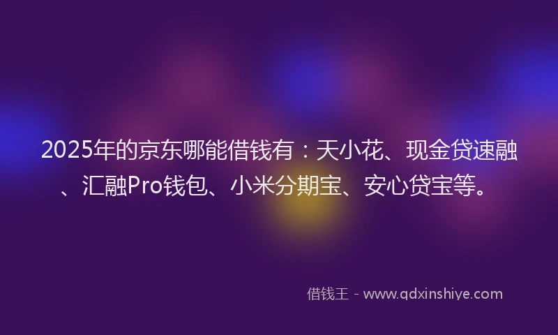 2025年的京东哪能借钱有：天小花、现金贷速融、汇融Pro钱包、小米分期宝、安心贷宝等。
