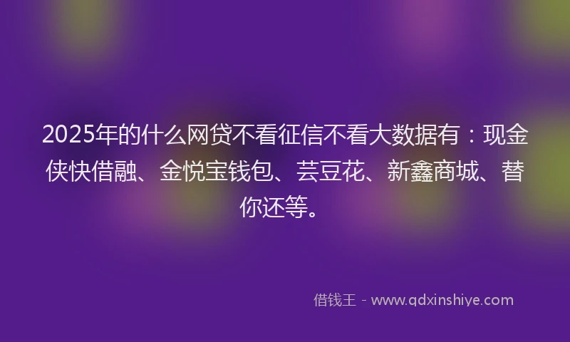 2025年的什么网贷不看征信不看大数据有：现金侠快借融、金悦宝钱包、芸豆花、新鑫商城、替你还等。