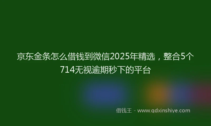 京东金条怎么借钱到微信2025年精选，整合5个714无视逾期秒下的平台