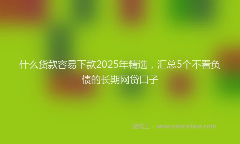 什么货款容易下款2025年精选，汇总5个不看负债的长期网贷口子