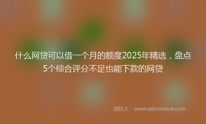 什么网贷可以借一个月的额度2025年精选，盘点5个综合评分不足也能下款的网贷