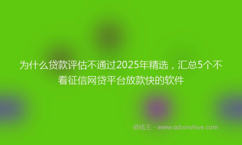 为什么贷款评估不通过2025年精选，汇总5个不看征信网贷平台放款快的软件