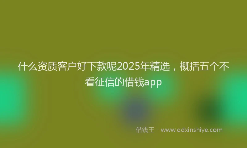 什么资质客户好下款呢2025年精选，概括五个不看征信的借钱app