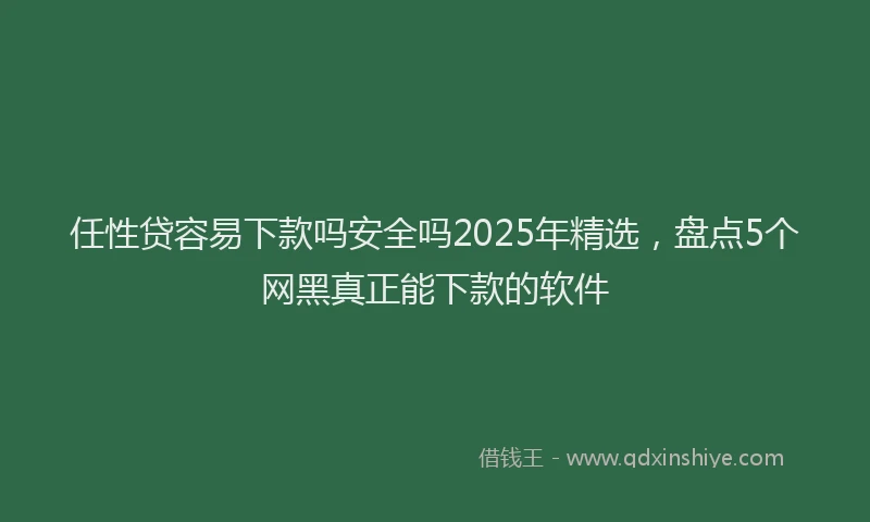 任性贷容易下款吗安全吗2025年精选，盘点5个网黑真正能下款的软件