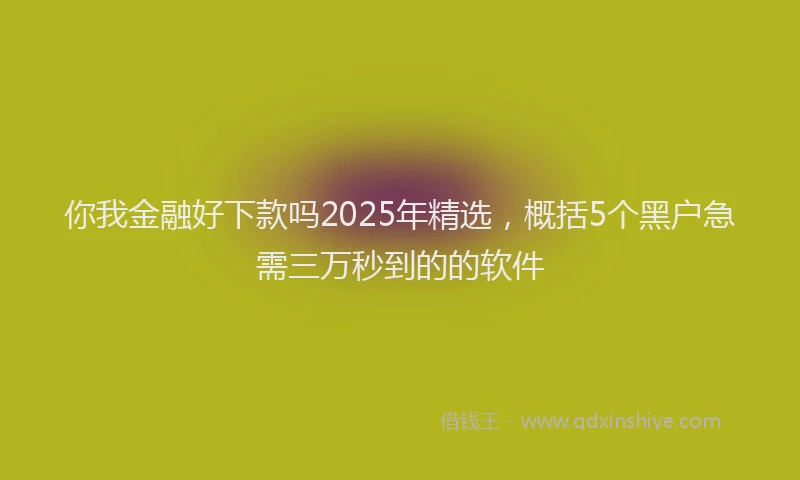 你我金融好下款吗2025年精选，概括5个黑户急需三万秒到的的软件