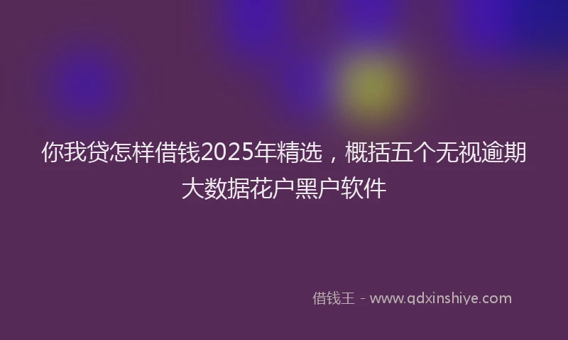 你我贷怎样借钱2025年精选,概括五个无视逾期大数据花户黑户软件