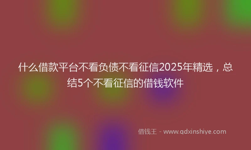 什么借款平台不看负债不看征信2025年精选，总结5个不看征信的借钱软件