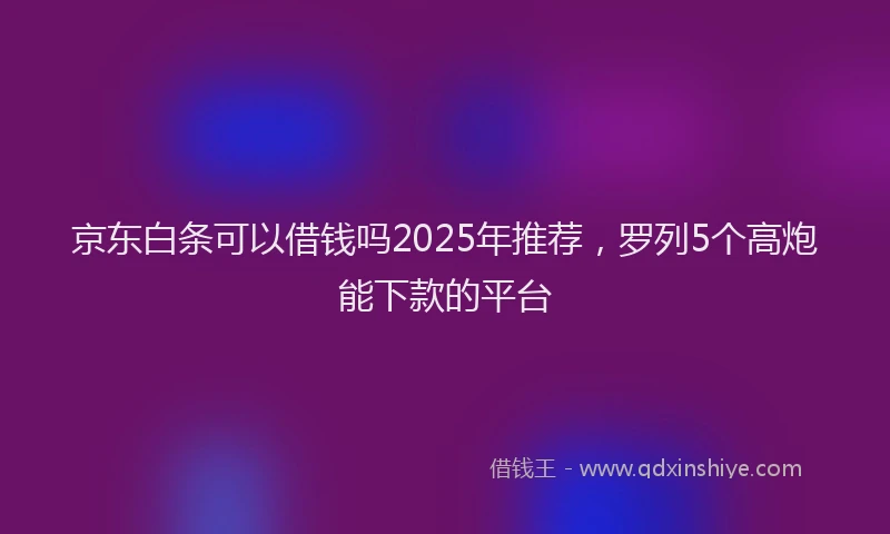 京东白条可以借钱吗2025年推荐，罗列5个高炮能下款的平台