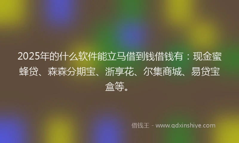 2025年的什么软件能立马借到钱借钱有：现金蜜蜂贷、森森分期宝、浙享花、尔集商城、易贷宝盒等。