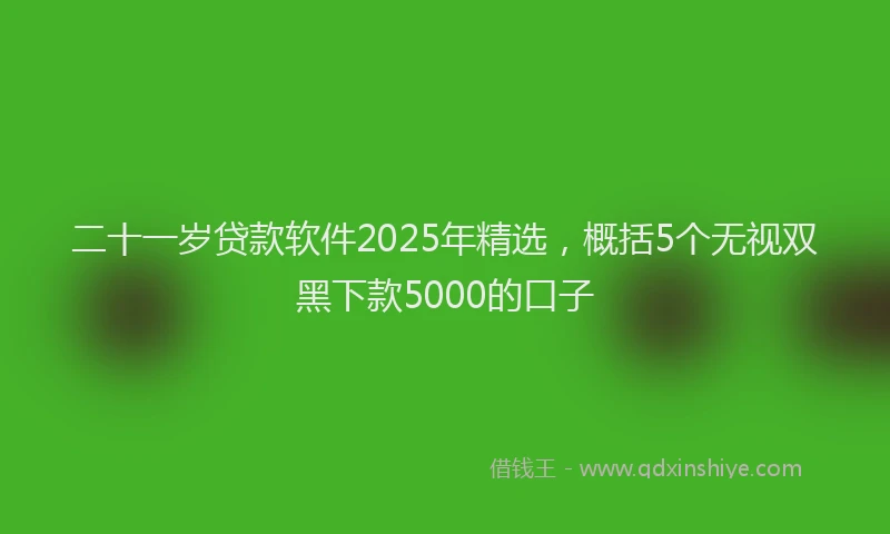 二十一岁贷款软件2025年精选，概括5个无视双黑下款5000的口子