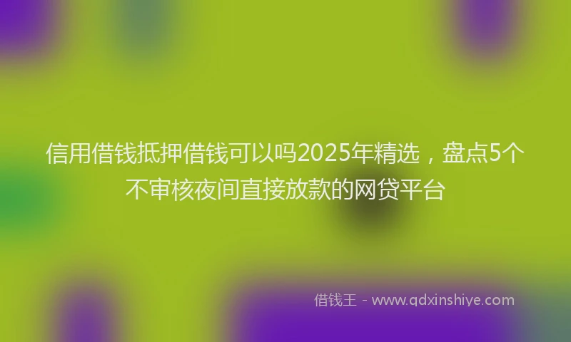 信用借钱抵押借钱可以吗2025年精选，盘点5个不审核夜间直接放款的网贷平台