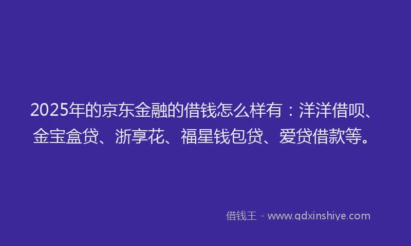 2025年的京东金融的借钱怎么样有：洋洋借呗、金宝盒贷、浙享花、福星钱包贷、爱贷借款等。