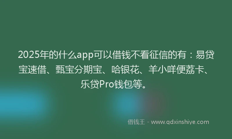 2025年的什么app可以借钱不看征信的有：易贷宝速借、甄宝分期宝、哈银花、羊小咩便荔卡、乐贷Pro钱包等。