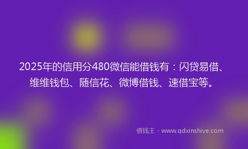 2025年的信用分480微信能借钱有：闪贷易借、维维钱包、随信花、微博借钱、速借宝等。