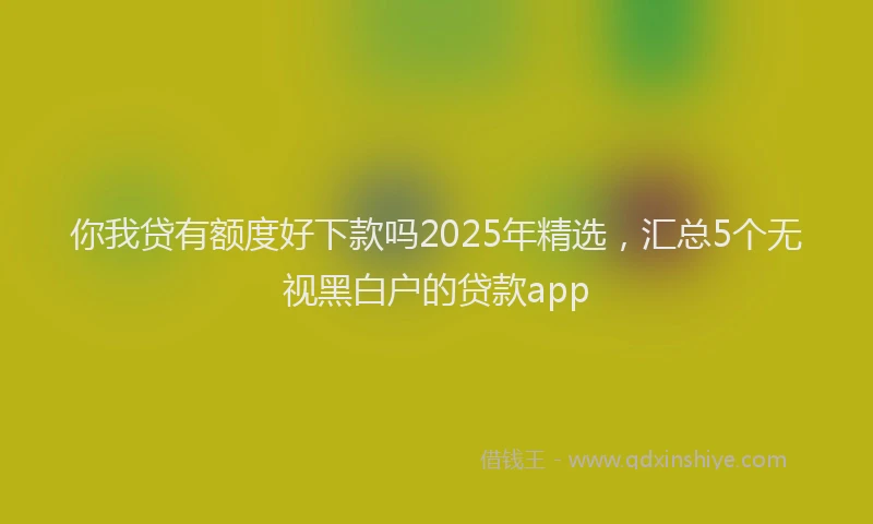 你我贷有额度好下款吗2025年精选，汇总5个无视黑白户的贷款app