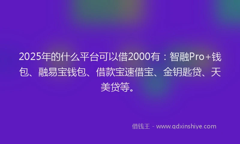 2025年的什么平台可以借2000有：智融Pro+钱包、融易宝钱包、借款宝速借宝、金钥匙贷、天美贷等。