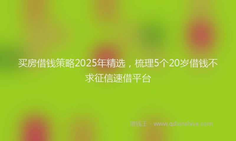 买房借钱策略2025年精选，梳理5个20岁借钱不求征信速借平台