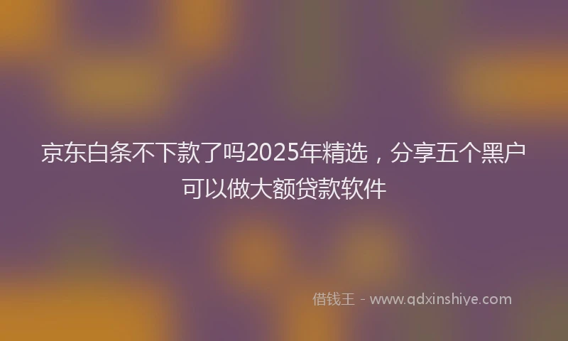 京东白条不下款了吗2025年精选，分享五个黑户可以做大额贷款软件
