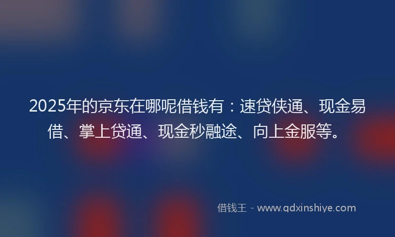 2025年的京东在哪呢借钱有：速贷侠通、现金易借、掌上贷通、现金秒融途、向上金服等。