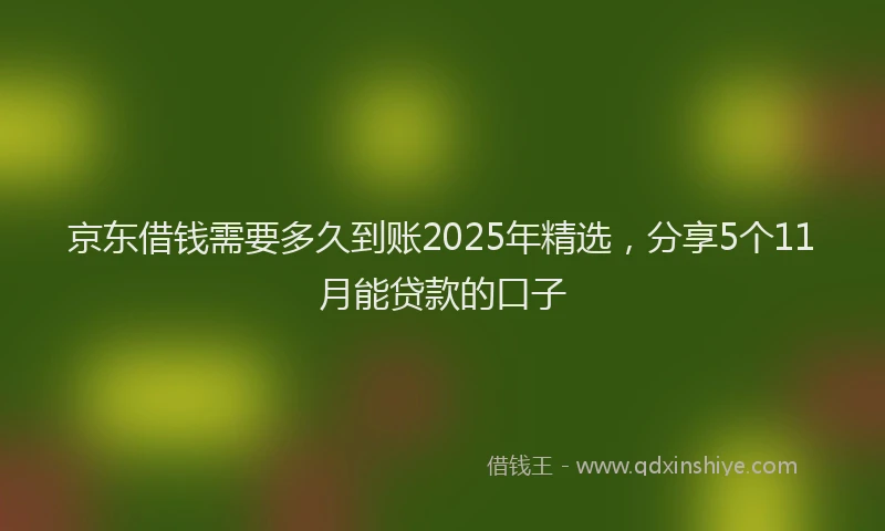京东借钱需要多久到账2025年精选，分享5个11月能贷款的口子