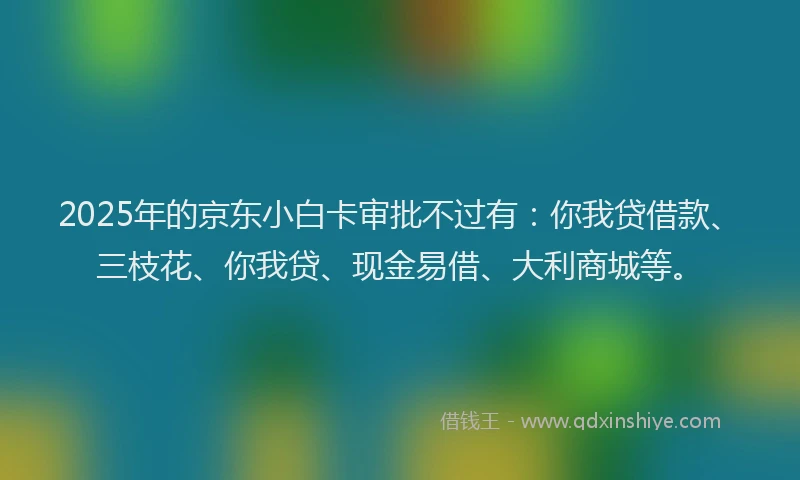 2025年的京东小白卡审批不过有：你我贷借款、三枝花、你我贷、现金易借、大利商城等。