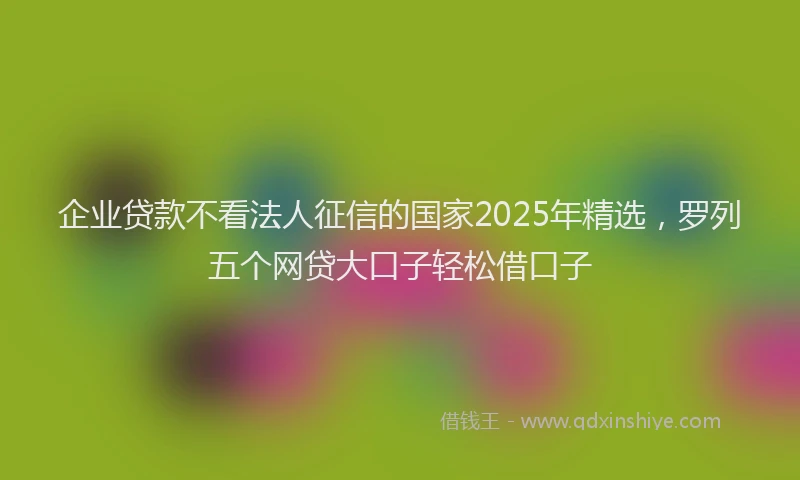 企业贷款不看法人征信的国家2025年精选，罗列五个网贷大口子轻松借口子