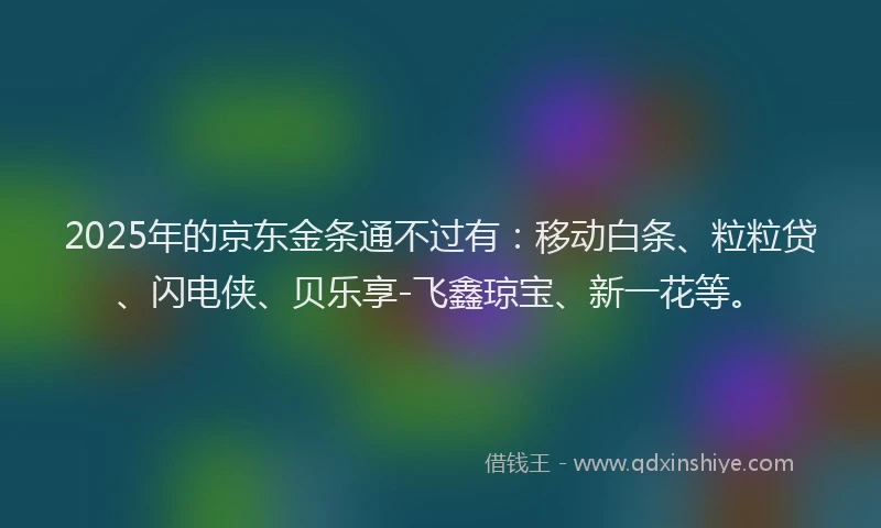2025年的京东金条通不过有：移动白条、粒粒贷、闪电侠、贝乐享-飞鑫琼宝、新一花等。