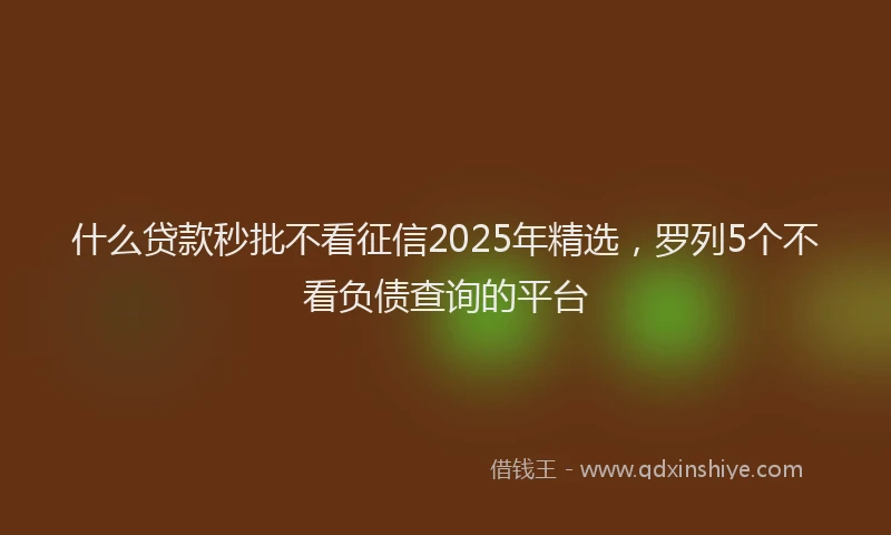 什么贷款秒批不看征信2025年精选，罗列5个不看负债查询的平台
