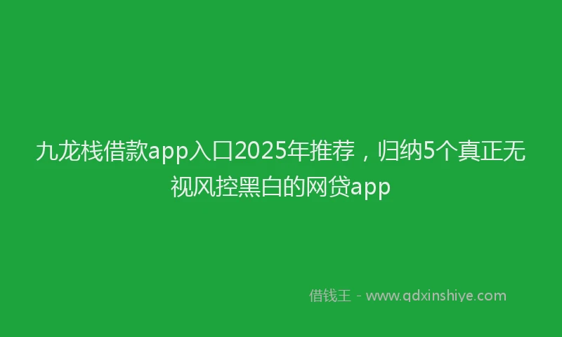 九龙栈借款app入口2025年推荐，归纳5个真正无视风控黑白的网贷app