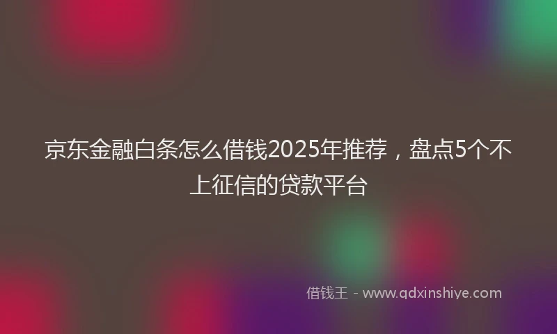 京东金融白条怎么借钱2025年推荐，盘点5个不上征信的贷款平台