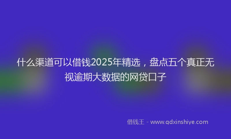 什么渠道可以借钱2025年精选，盘点五个真正无视逾期大数据的网贷口子