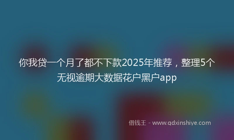 你我贷一个月了都不下款2025年推荐，整理5个无视逾期大数据花户黑户app