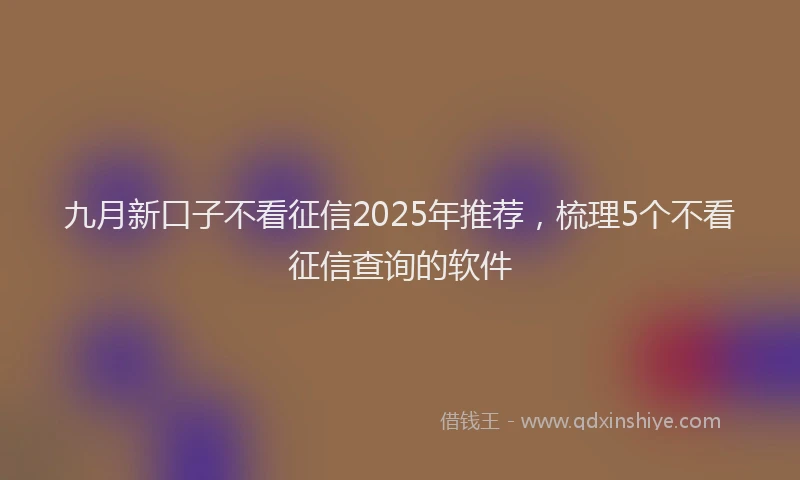 九月新口子不看征信2025年推荐，梳理5个不看征信查询的软件