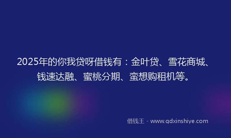 2025年的你我贷呀借钱有：金叶贷、雪花商城、钱速达融、蜜桃分期、蛮想购租机等。