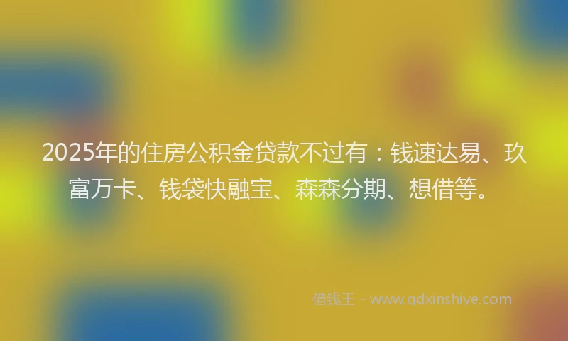 2025年的住房公积金贷款不过有：钱速达易、玖富万卡、钱袋快融宝、森森分期、想借等。